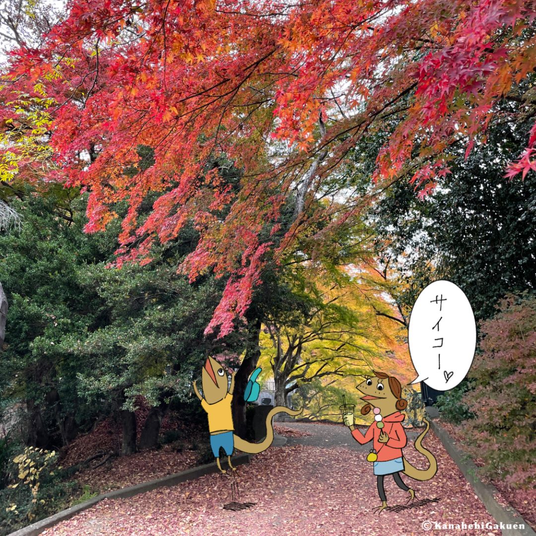 紅葉の木の下で遊ぶカナヘビ姉弟のイラスト