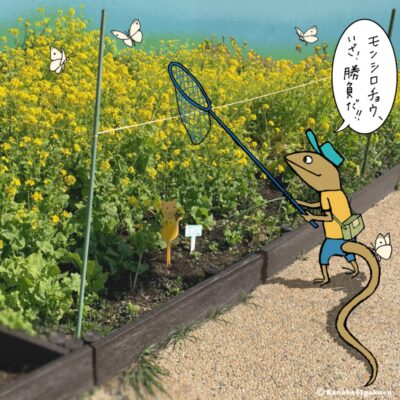 菜の花畑で蝶を狙うカナヘビのイラスト